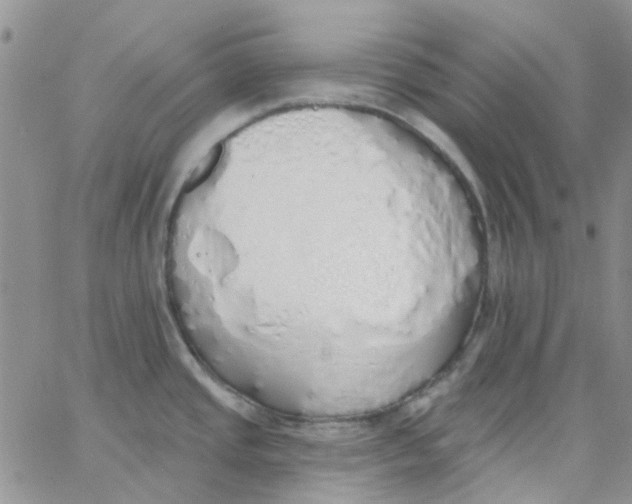 X0000062911437200602031846