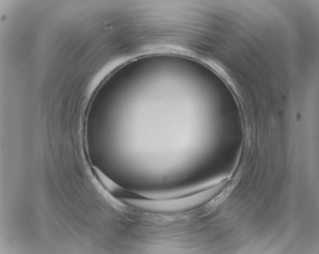 X0000062911438200602031846