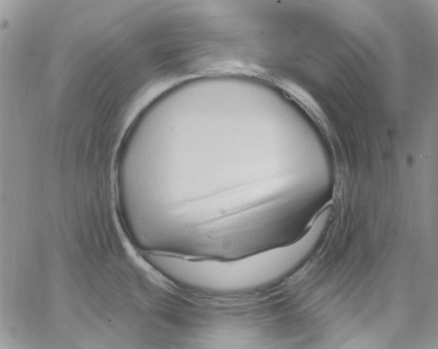 X0000062911439200602031846