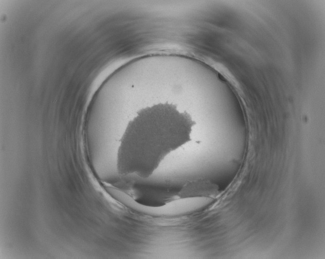 X0000062911440200602031846