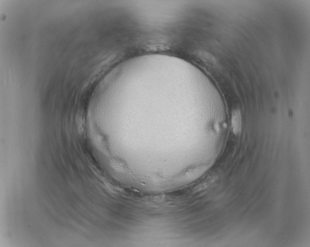 X0000062911444200602031845