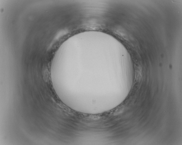 X0000062911446200602031845