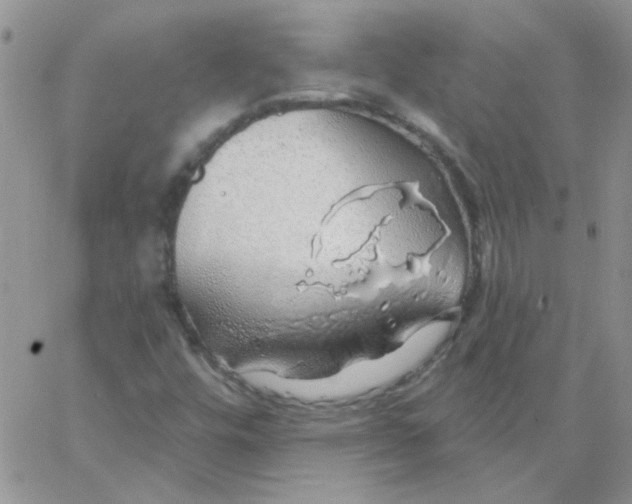 X0000062911448200602031845