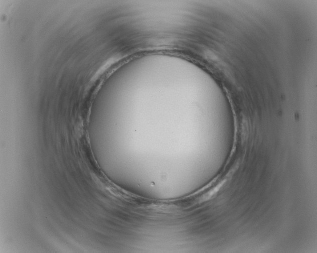 X0000062911449200602031845