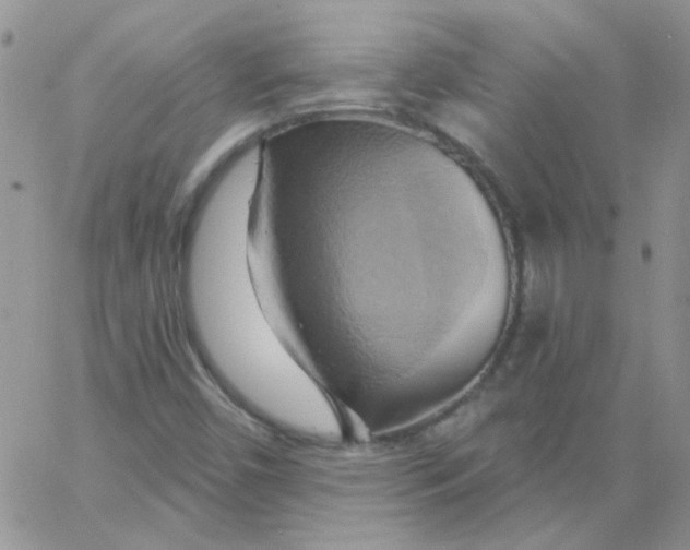 X0000062911450200602031845