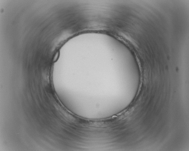 X0000062911451200602031845