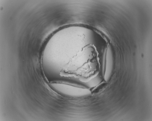 X0000062911452200602031845