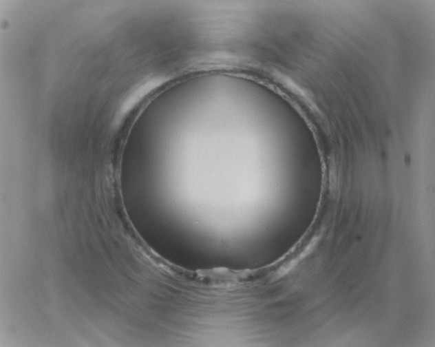 X0000062911453200602031845