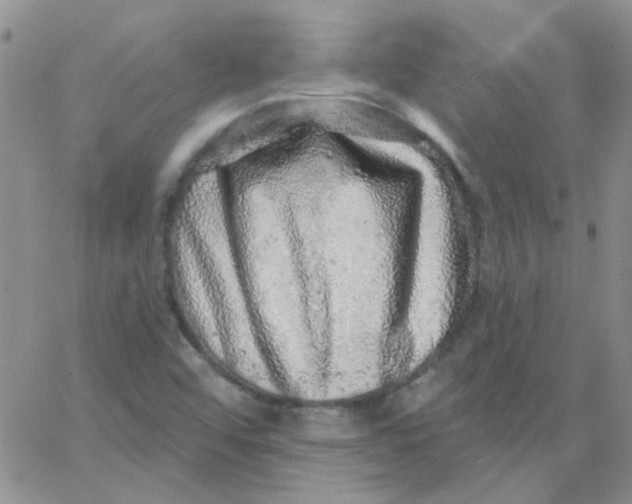 X0000062911456200602031845