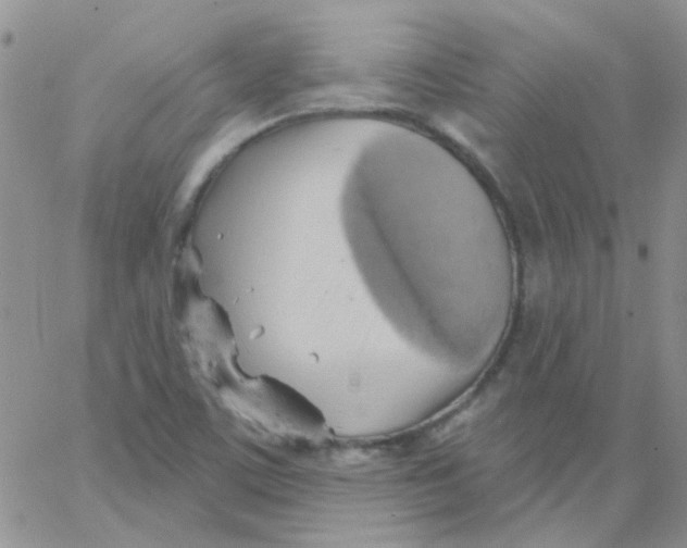 X0000062911459200602031845