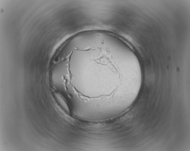 X0000062911460200602031845