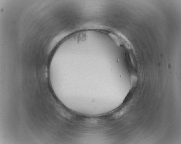 X0000062911461200602031845