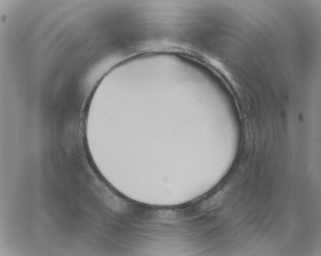 X0000062911463200602031845