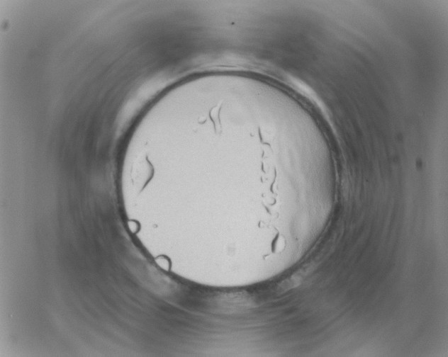 X0000062911464200602031845