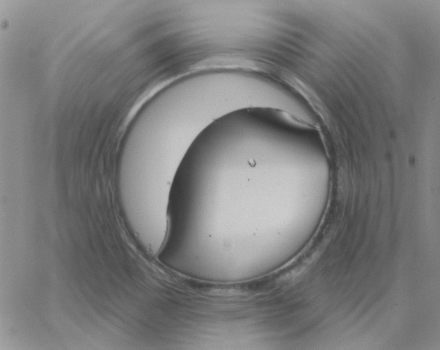 X0000062911465200602031845