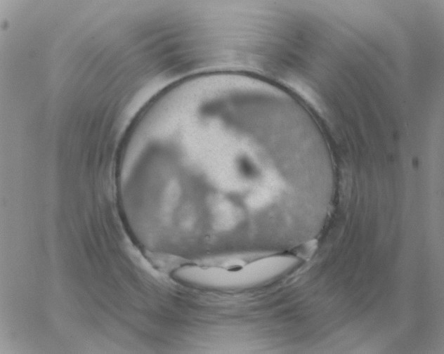 X0000062911468200602031845