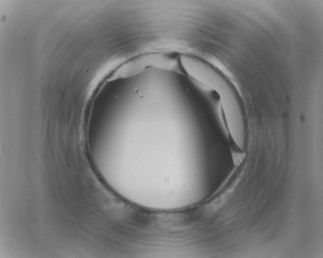 X0000062911469200602031845