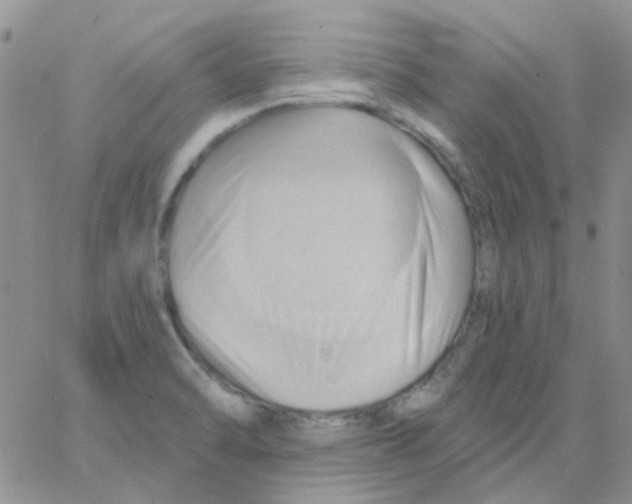 X0000062911470200602031845