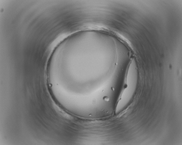 X0000062911471200602031845