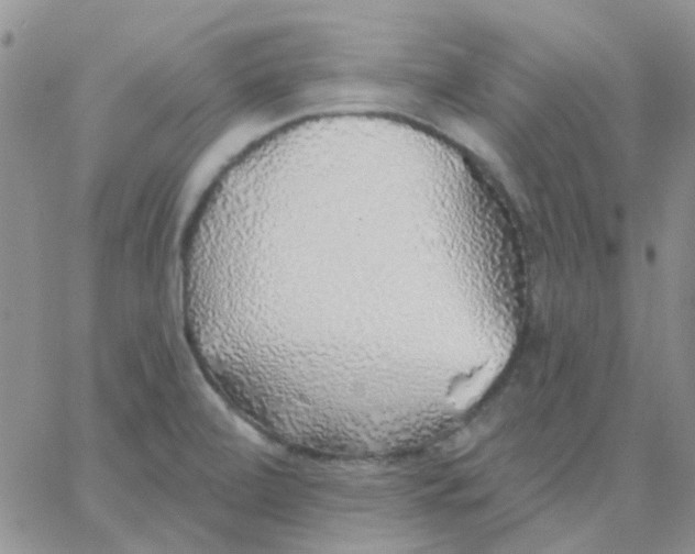 X0000062911472200602031845