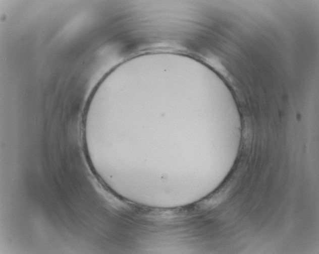 X0000062911474200602031845