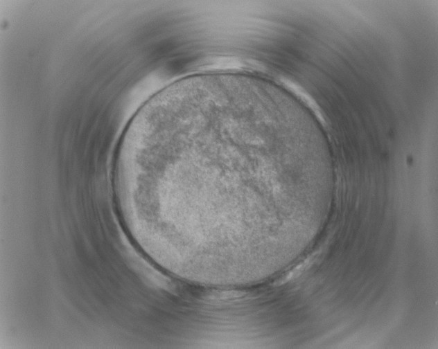 X0000062911475200602031845