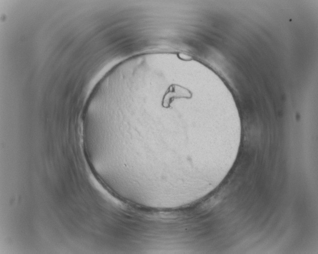 X0000062911476200602031845