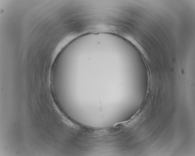 X0000062911477200602031845