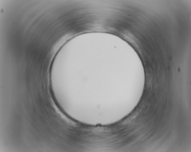 X0000062911479200602031845