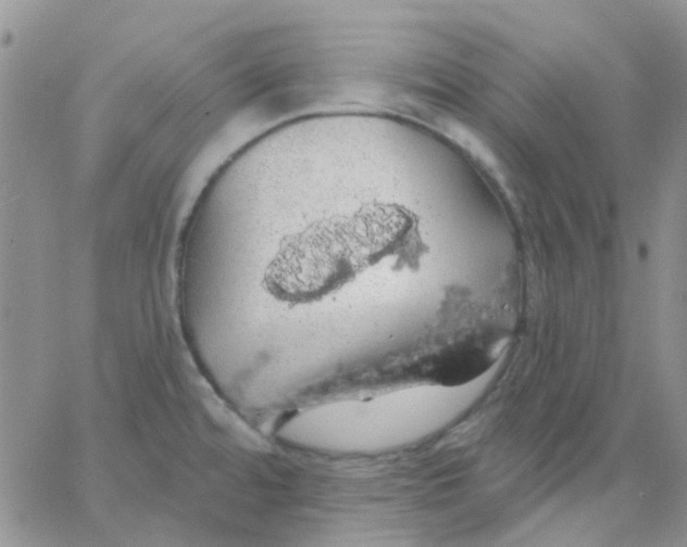 X0000062911480200602031845