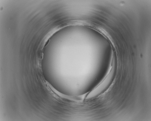 X0000062911481200602031845