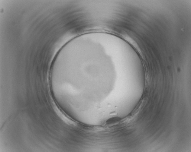 X0000062911482200602031844