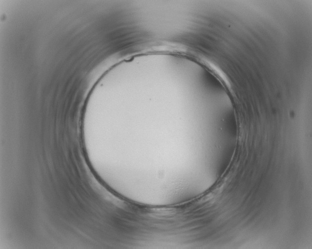 X0000062911483200602031844