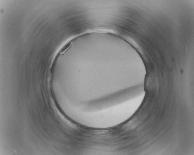 X0000062911484200602031844