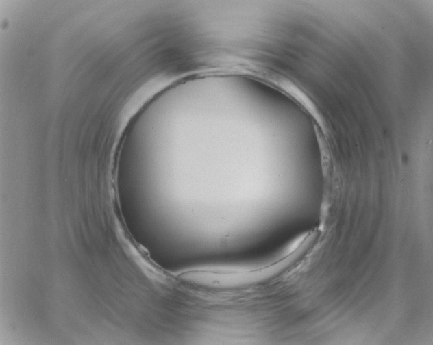 X0000062911485200602031844