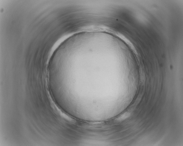 X0000062911486200602031844