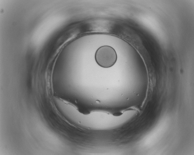 X0000062911487200602031844