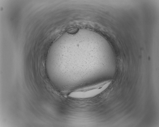 X0000062911489200602031844