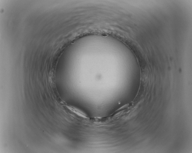 X0000062911490200602031844