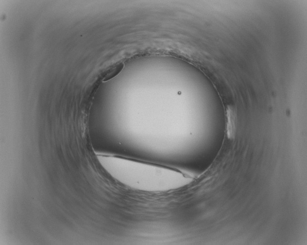 X0000062911491200602031844