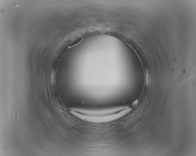 X0000062911492200602031844