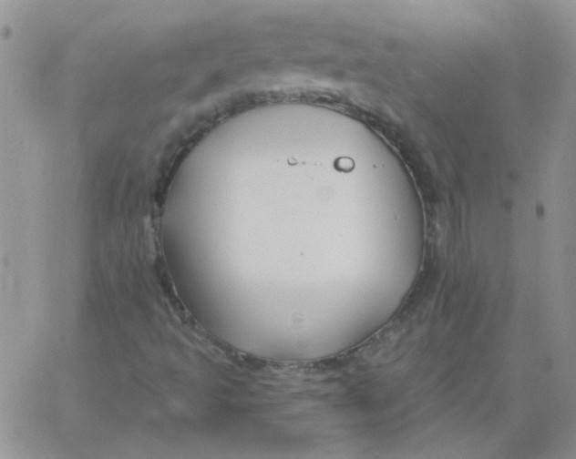 X0000062911493200602031844