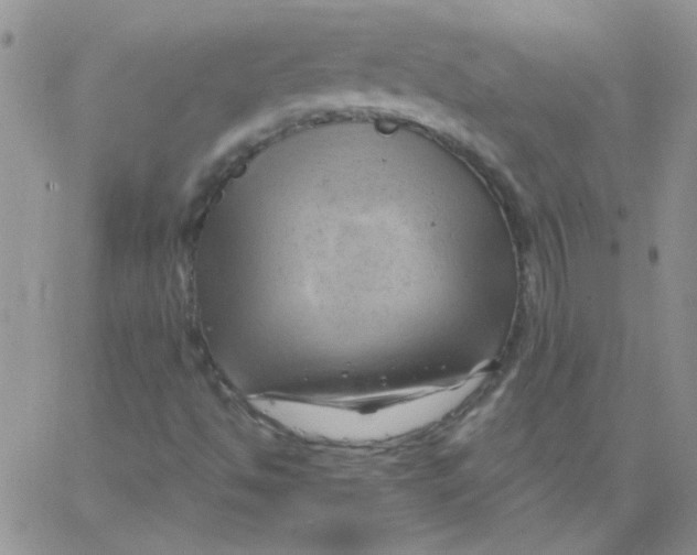 X0000062911494200602031844