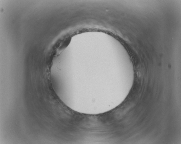 X0000062911495200602031844