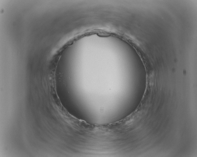 X0000062911496200602031844