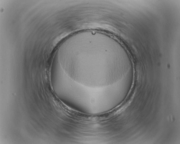 X0000062911497200602031844