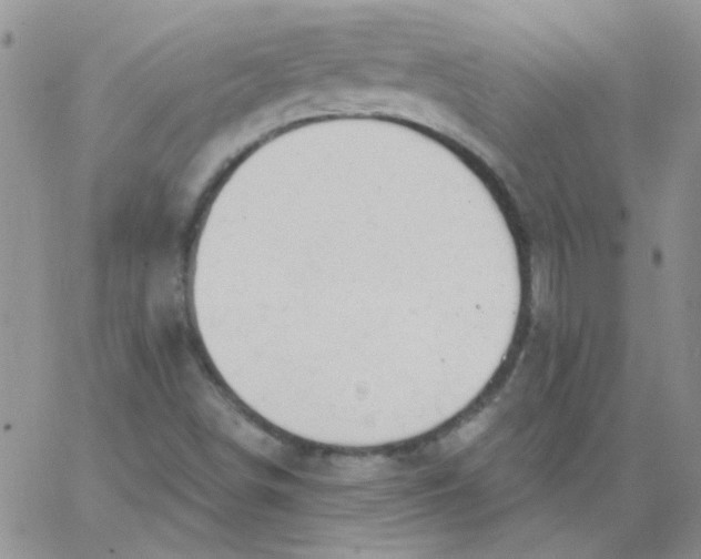 X0000062911498200602031844