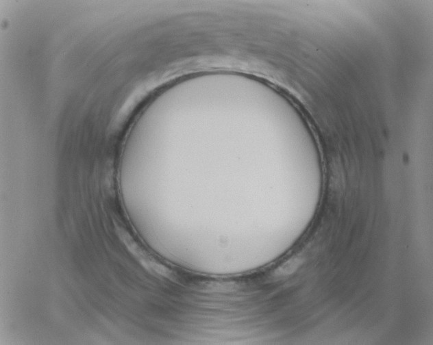 X0000062911499200602031844