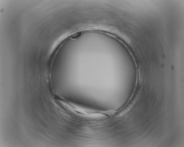 X0000062911501200602031844