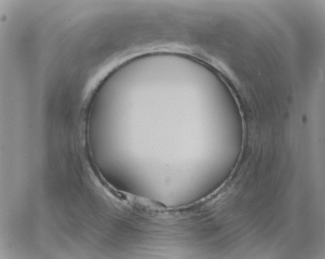 X0000062911504200602031844